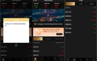 海外ERATRDE多语言微交易系统/外汇虚拟币贵金属微盘源码/新增群控单控/前端vue