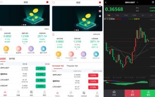 全新伪交易所系统/虚拟币期货外汇合约交易/微盘时间盘微交易源码