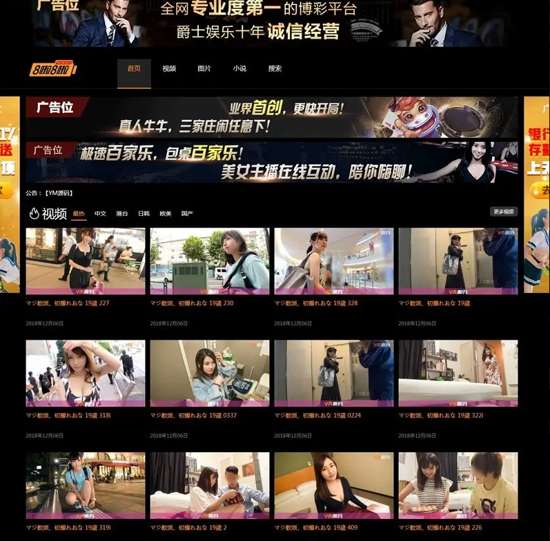 苹果cmsV10x自适应20个广告位X视频图片小说源码下载