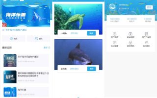 USDT理财系统/USDT投资源码/虚拟币静态收益/区块链源码